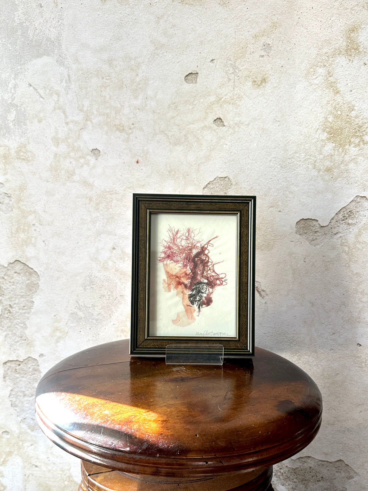 Burgundy Bloom