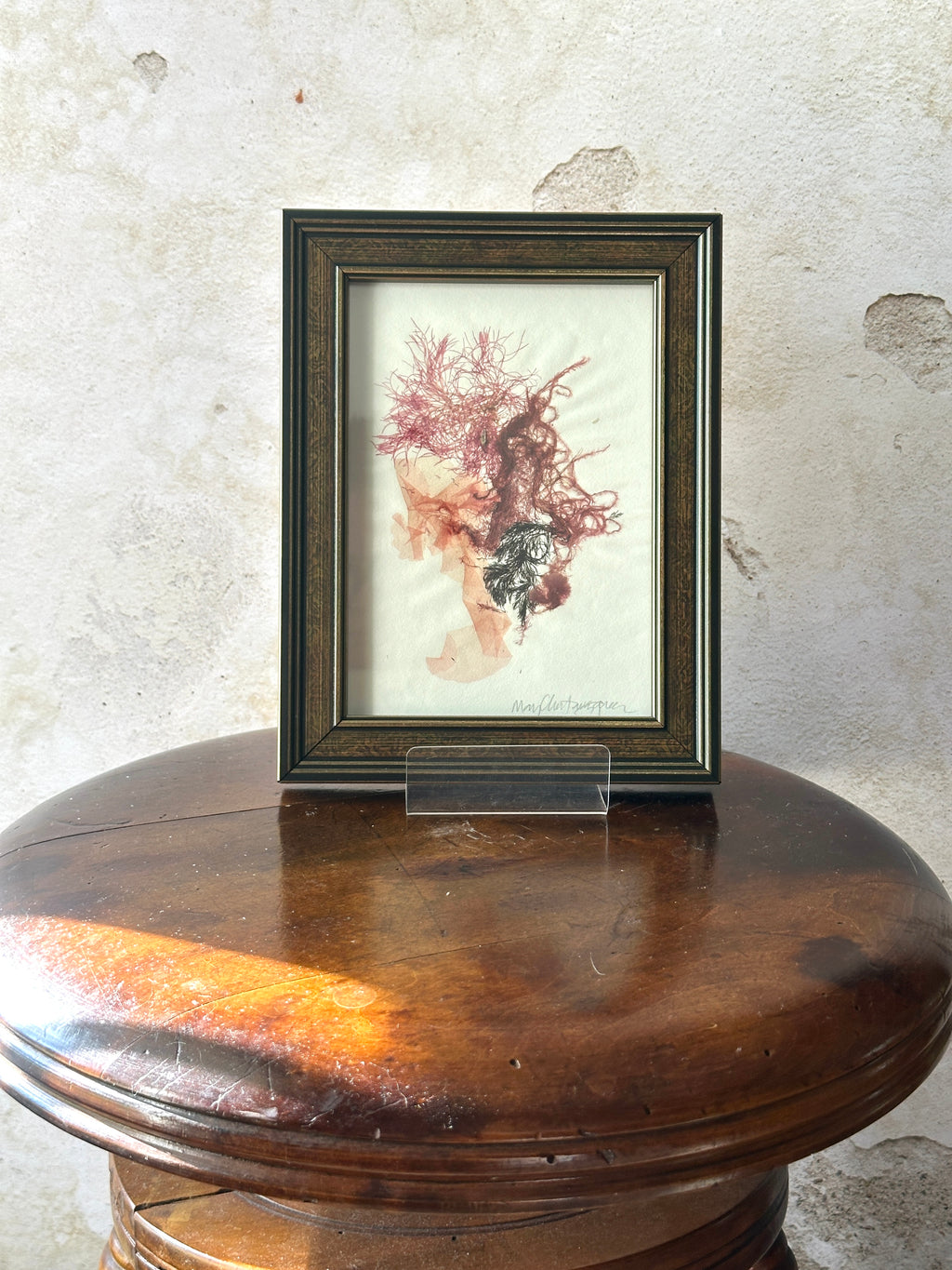 Burgundy Bloom