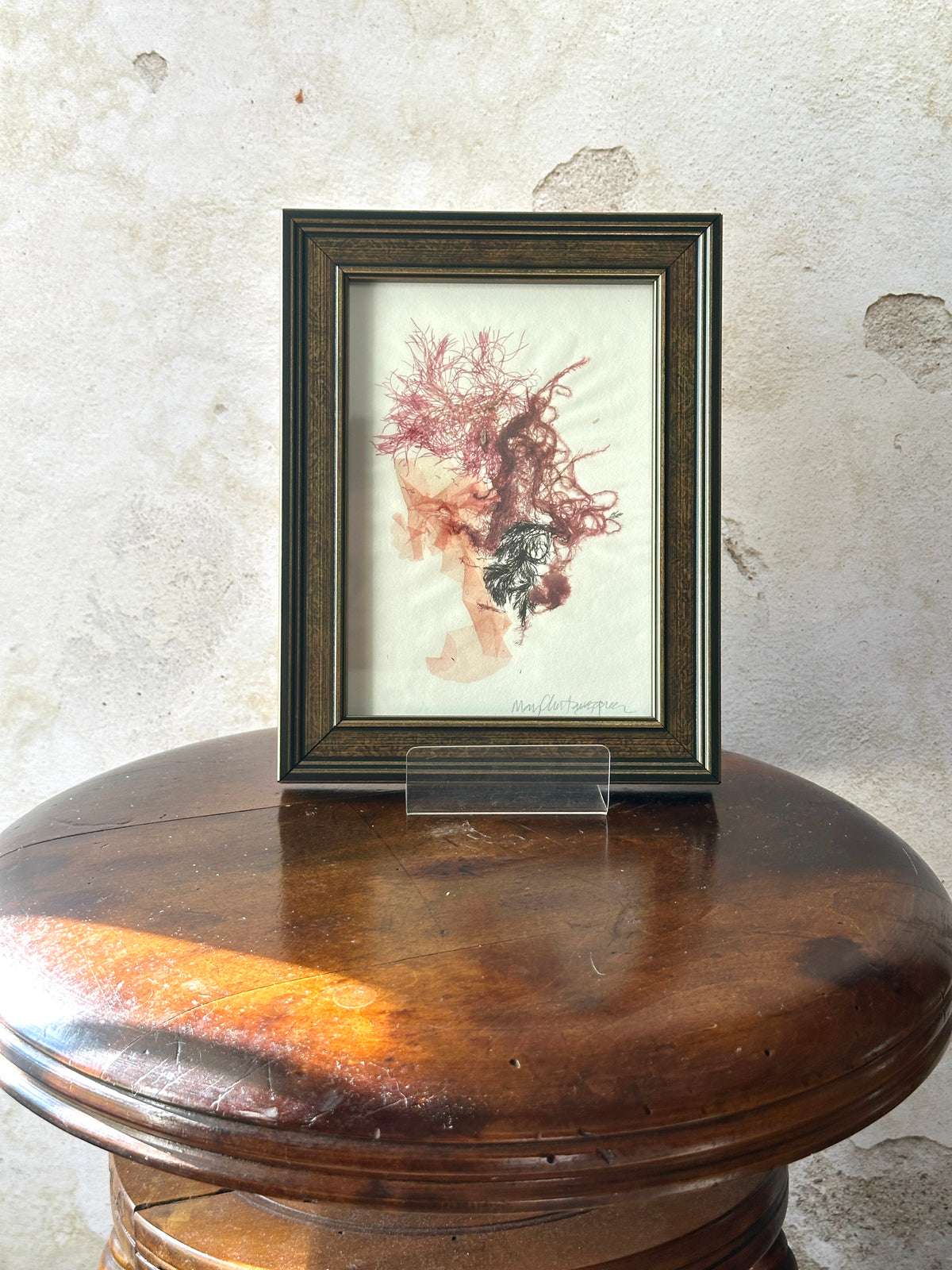 Burgundy Bloom